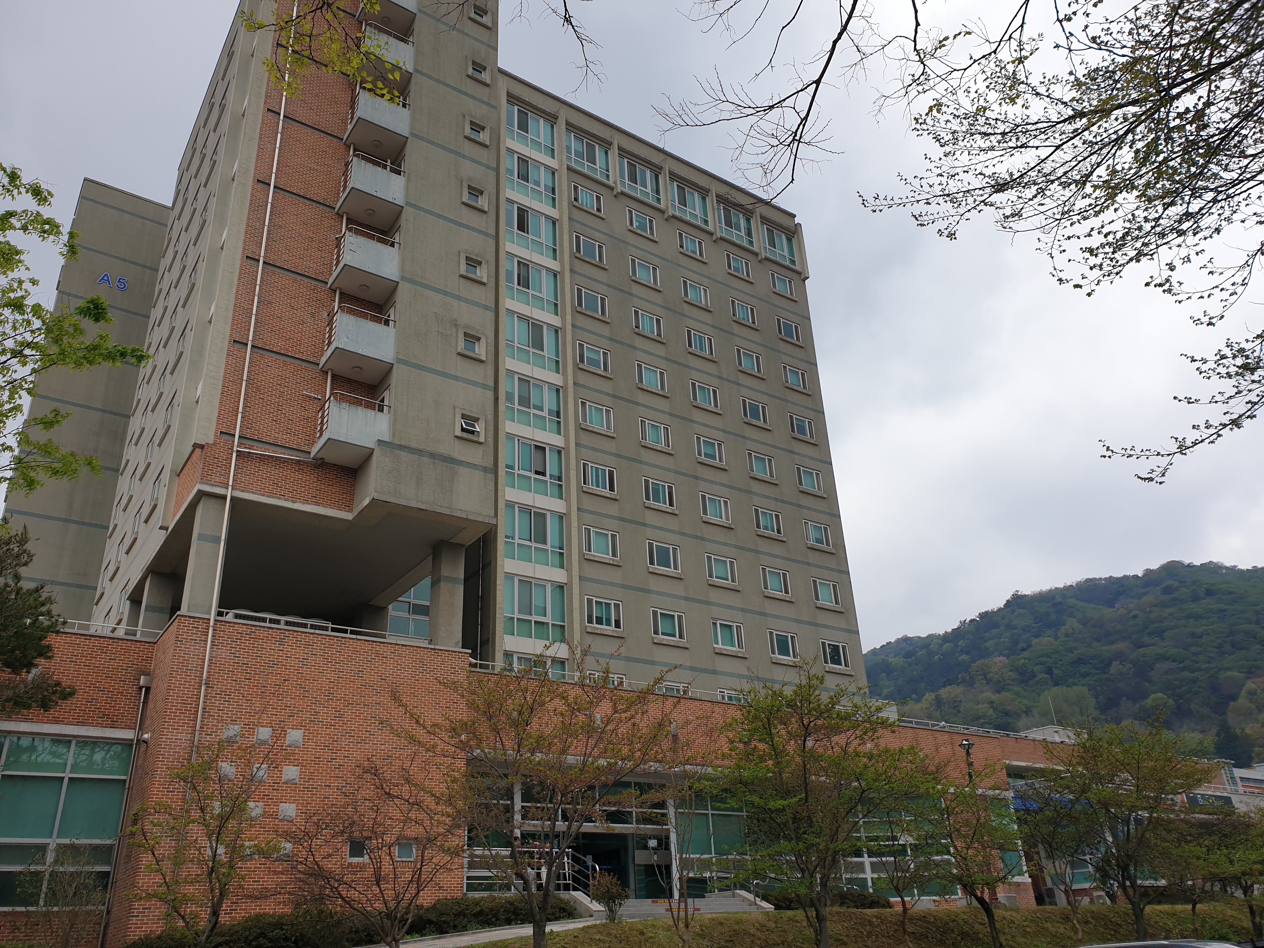 sc대학교 진리관.jpg